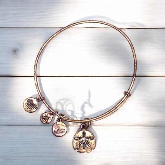 Alex & Ani Sand Dollar Charm Bangle Bracelet Gold Finish Expandable - Picture 1 of 2